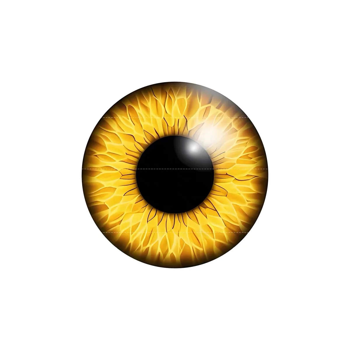 BJD SD Beast's Eye eyeball Pop - Ethnic Fashion Model บทวิจารณ์และราคา